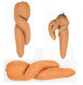 Defective carrots: Carote imperfette